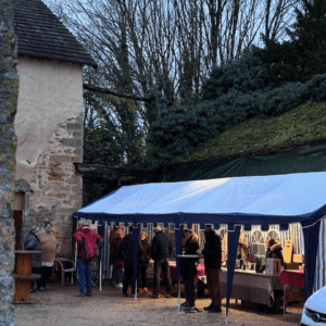 Barnum 12×5 m – Bleu et Blanc